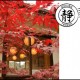 Red maples at Shizuka entrance