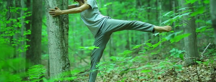 Image: "Shinrin-yoku", a film by Dance Films Association. The film features dance and choreography by Mayumu Minakawa, video by Kenneth Kao, and music by Levi Gershkowitz and Julie Becker. Directed by Tom Weksler.