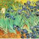 Irises by the artist Vincent van Gogh.