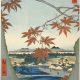 Woodcut by Hiroshige depcting maple leaves